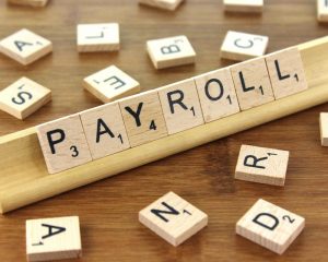 Payroll services for your company